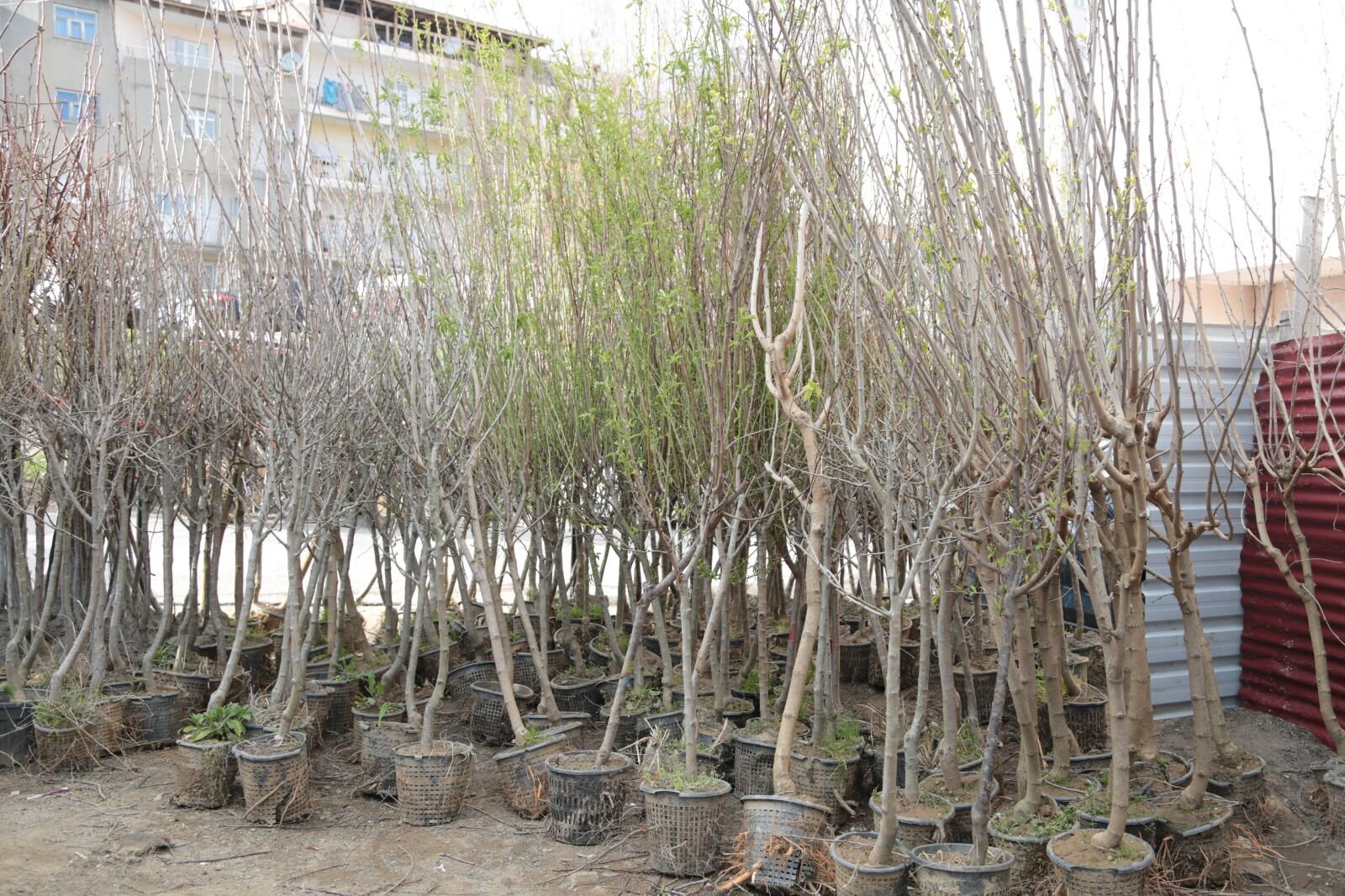 Whatsapp Image 2026 04 09 At 13.13.19 (13)