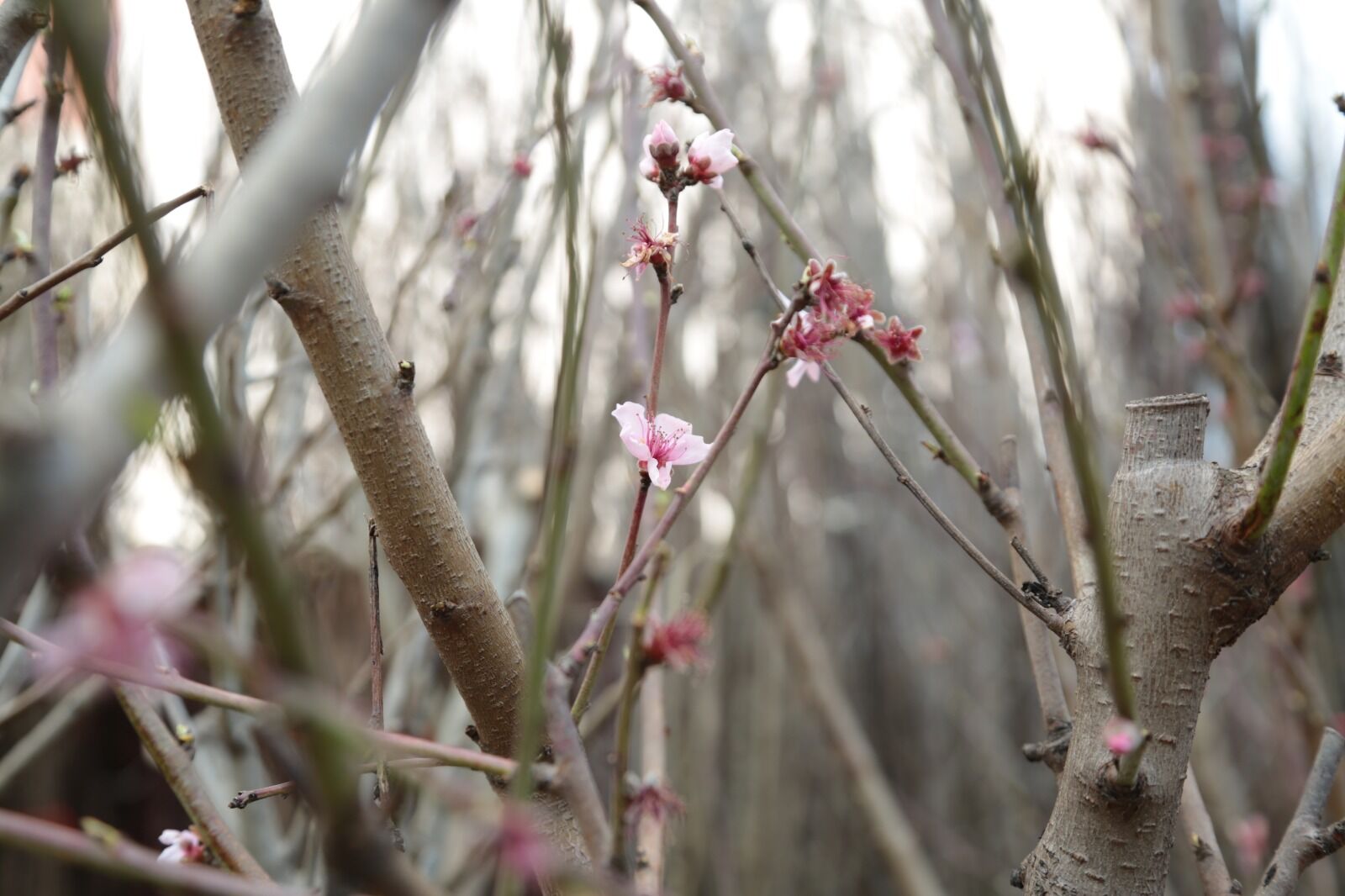 Whatsapp Image 2026 04 09 At 13.13.19 (14)