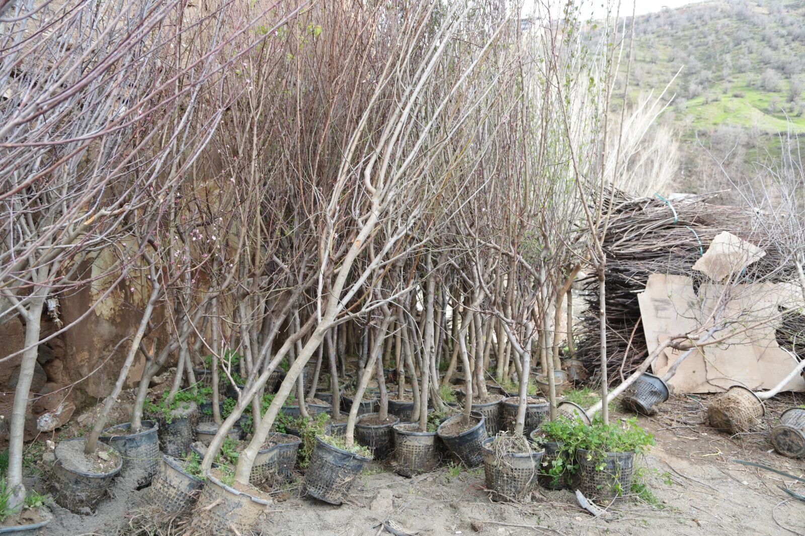 Whatsapp Image 2026 04 09 At 13.13.19 (15)