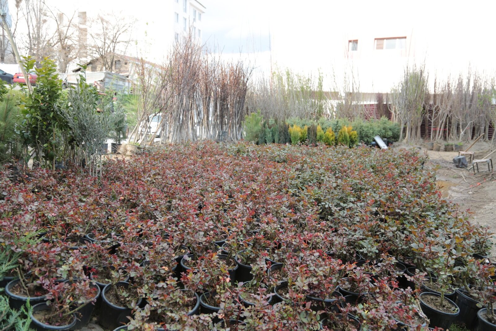 Whatsapp Image 2026 04 09 At 13.13.19 (19)