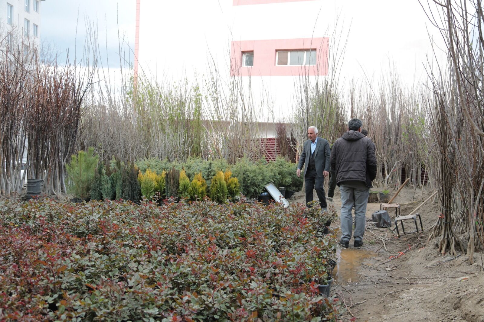 Whatsapp Image 2026 04 09 At 13.13.19 (22)