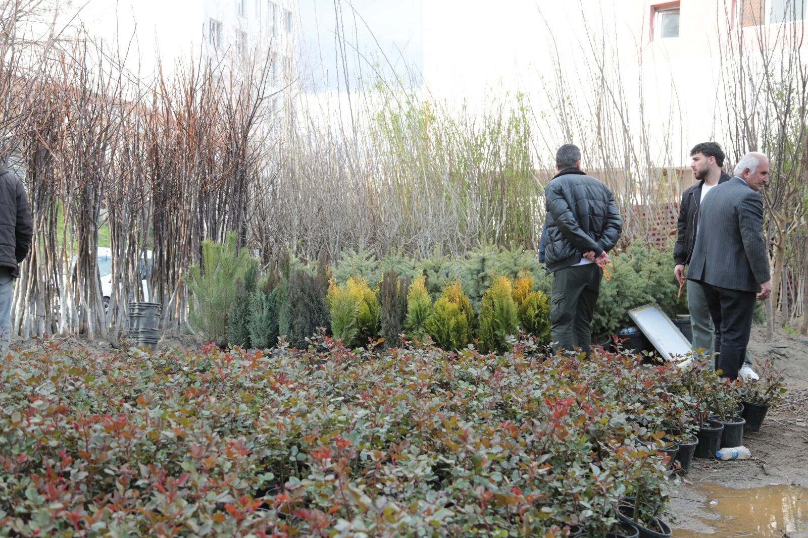 Whatsapp Image 2026 04 09 At 13.13.19 (26)