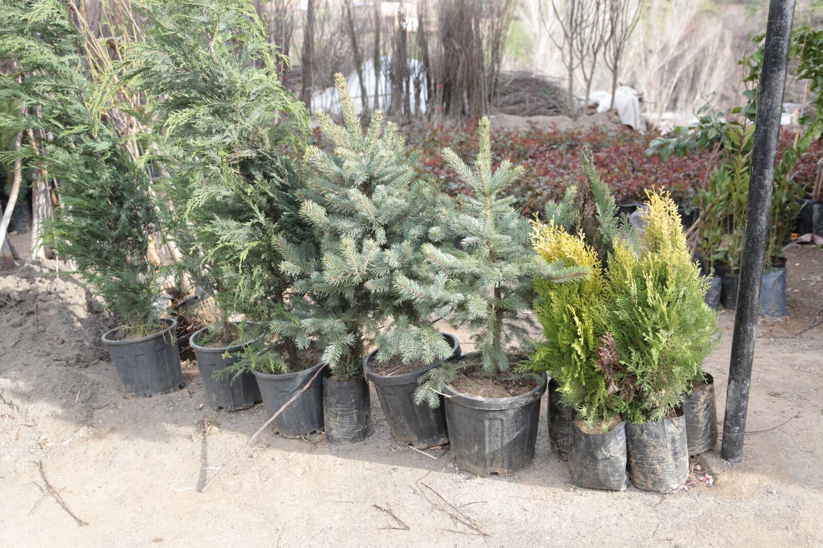 Whatsapp Image 2026 04 09 At 13.13.19 (28)