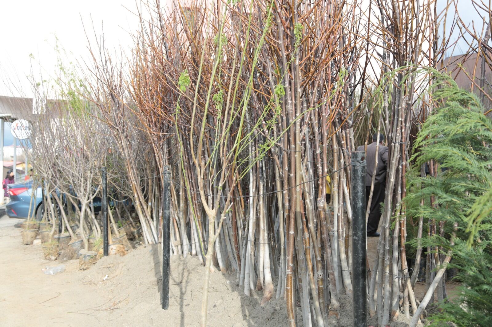 Whatsapp Image 2026 04 09 At 13.13.19 (29)