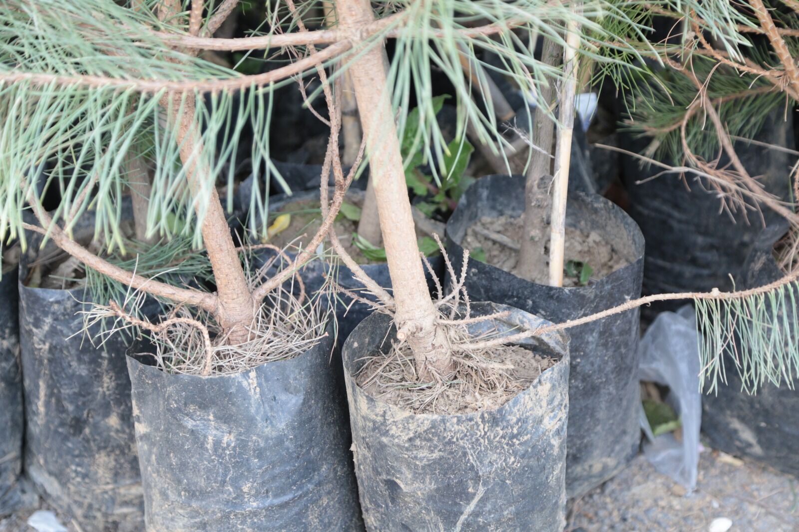 Whatsapp Image 2026 04 09 At 13.13.19 (30)