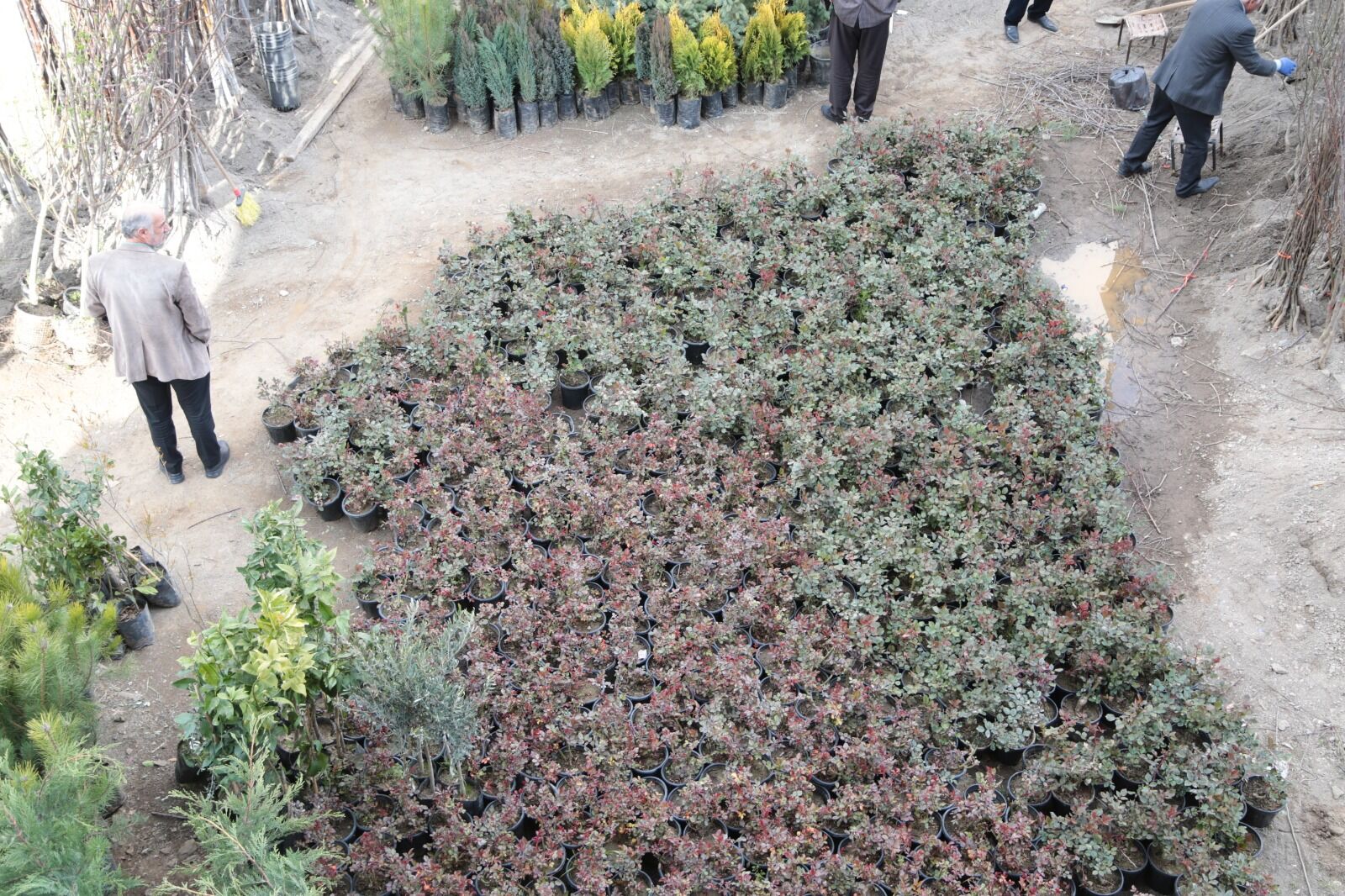 Whatsapp Image 2026 04 09 At 13.13.19 (33)