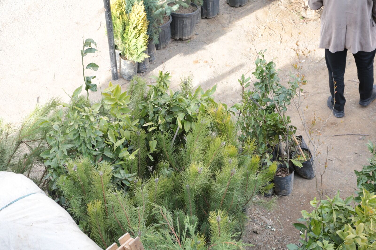 Whatsapp Image 2026 04 09 At 13.13.19 (34)