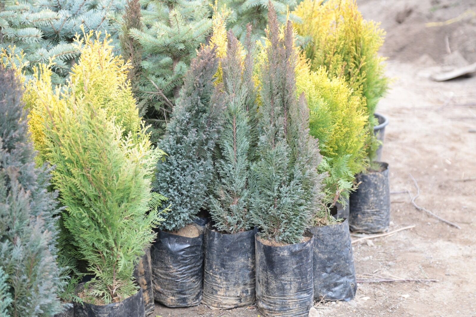 Whatsapp Image 2026 04 09 At 13.13.19 (9)