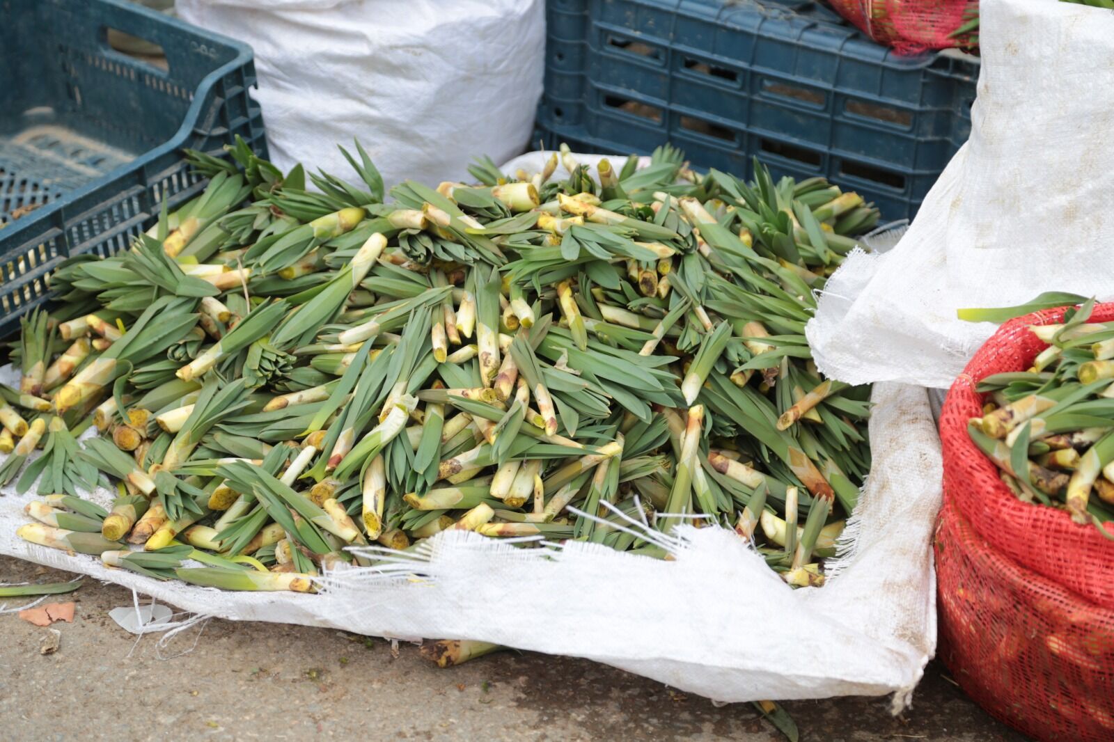 Whatsapp Image 2026 04 09 At 14.32.38 (1)