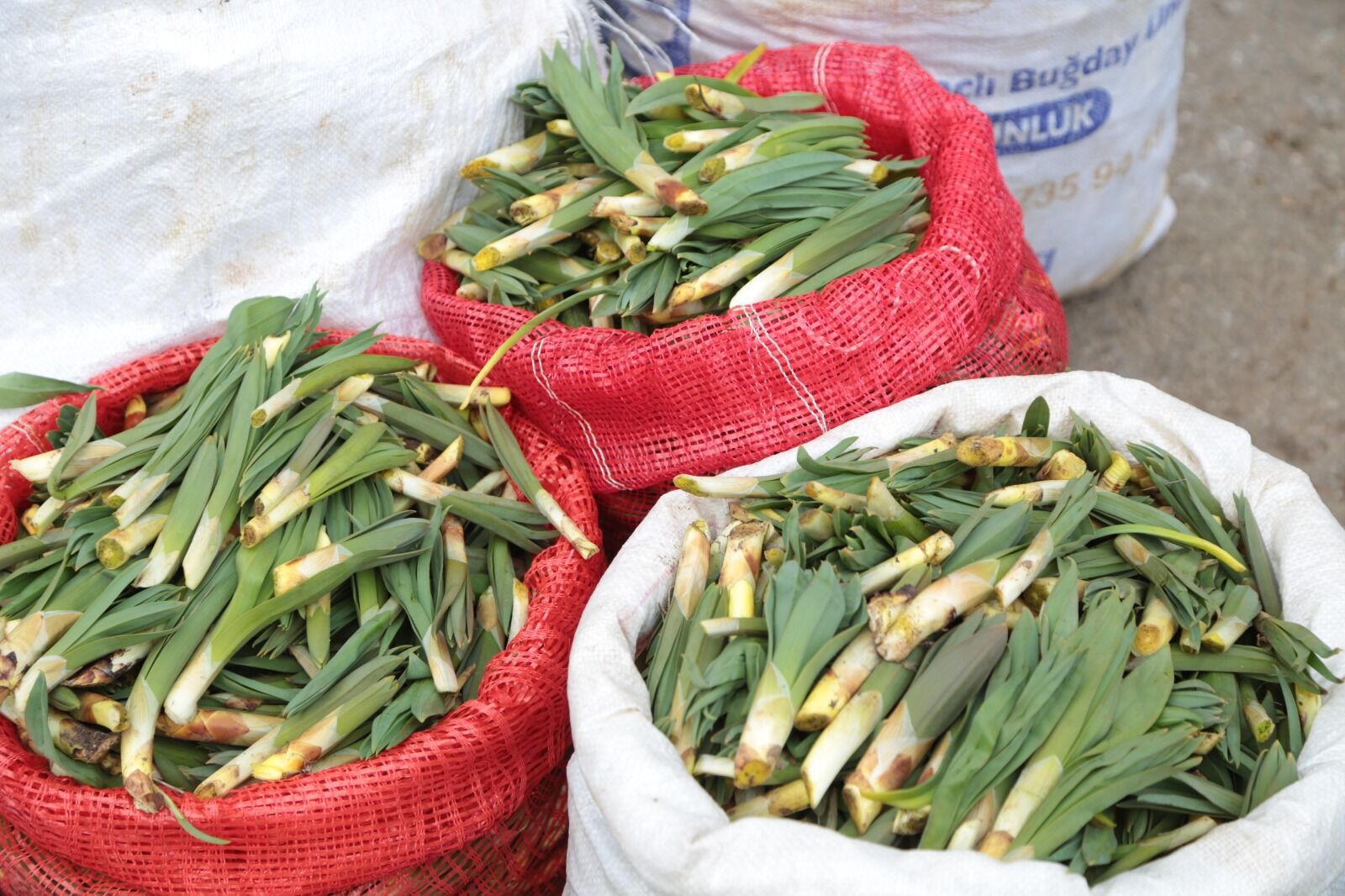 Whatsapp Image 2026 04 09 At 14.32.38 (2)