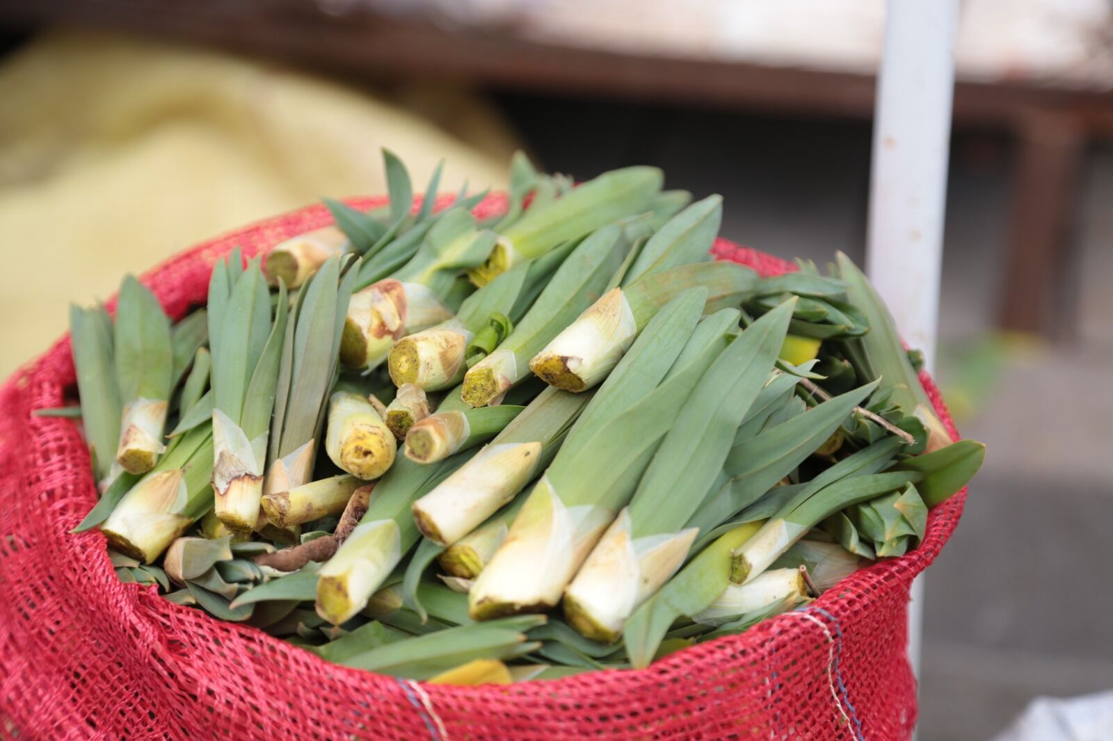 Whatsapp Image 2026 04 09 At 14.32.38 (3)