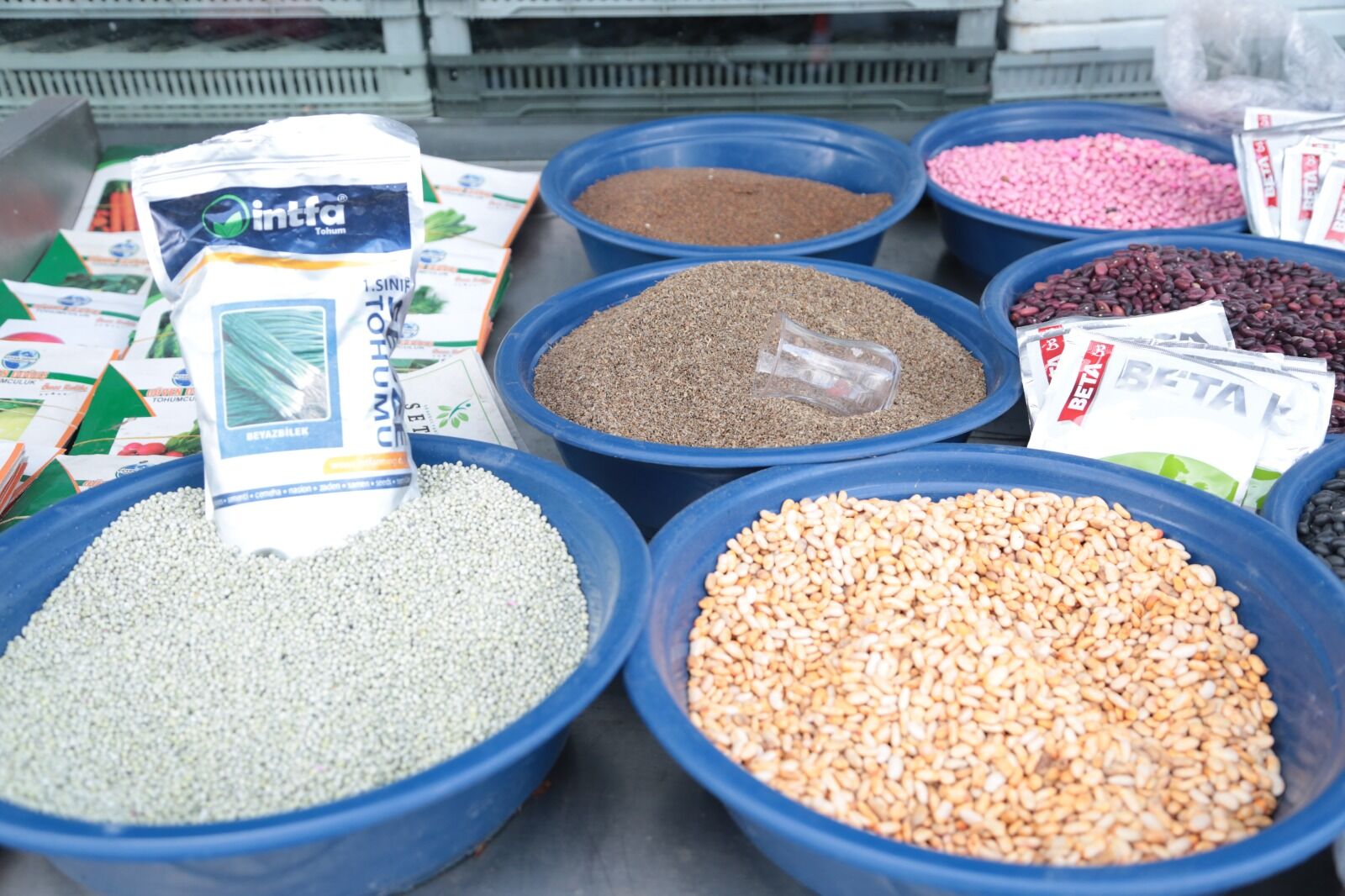 Whatsapp Image 2026 04 09 At 14.33.33 (1)