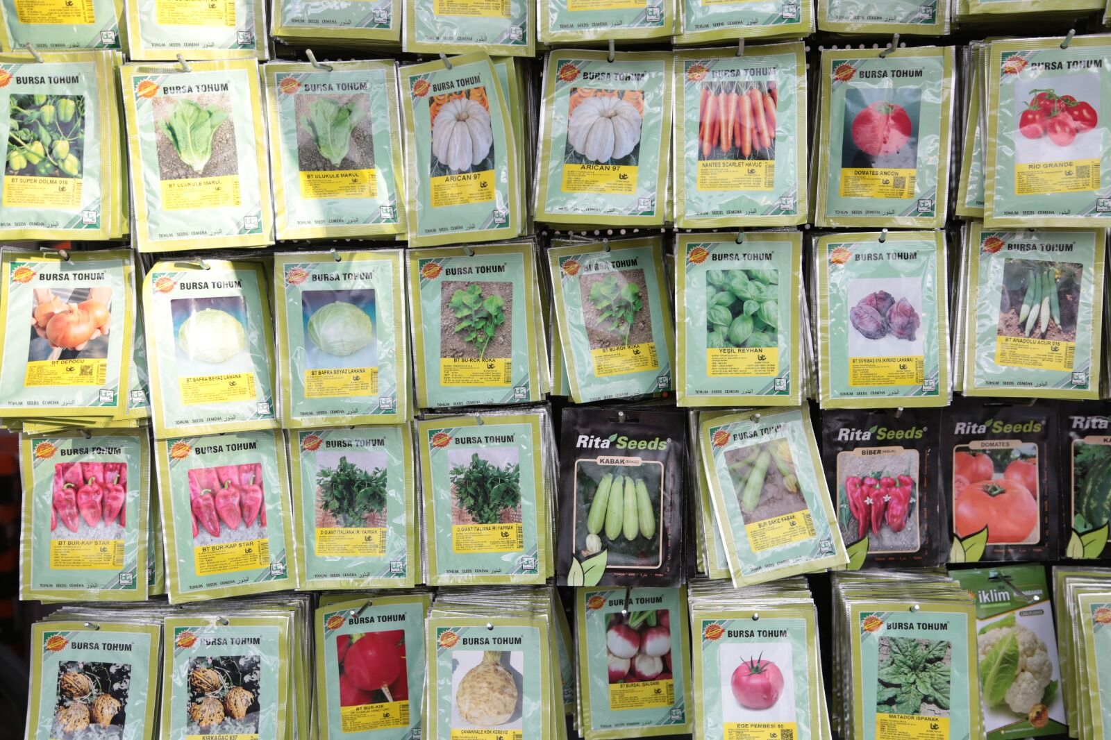 Whatsapp Image 2026 04 09 At 14.33.33 (13)