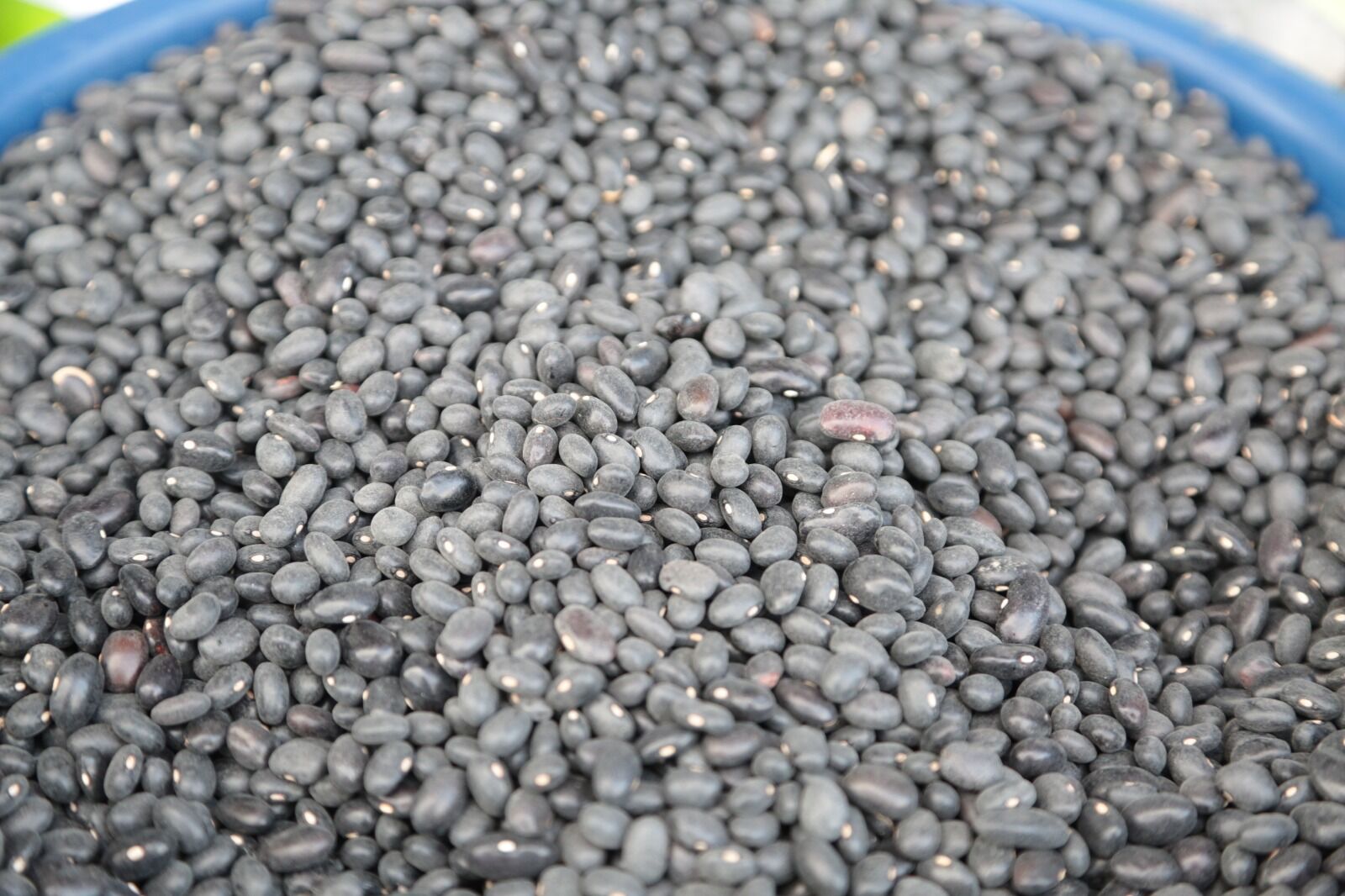 Whatsapp Image 2026 04 09 At 14.33.33 (4)