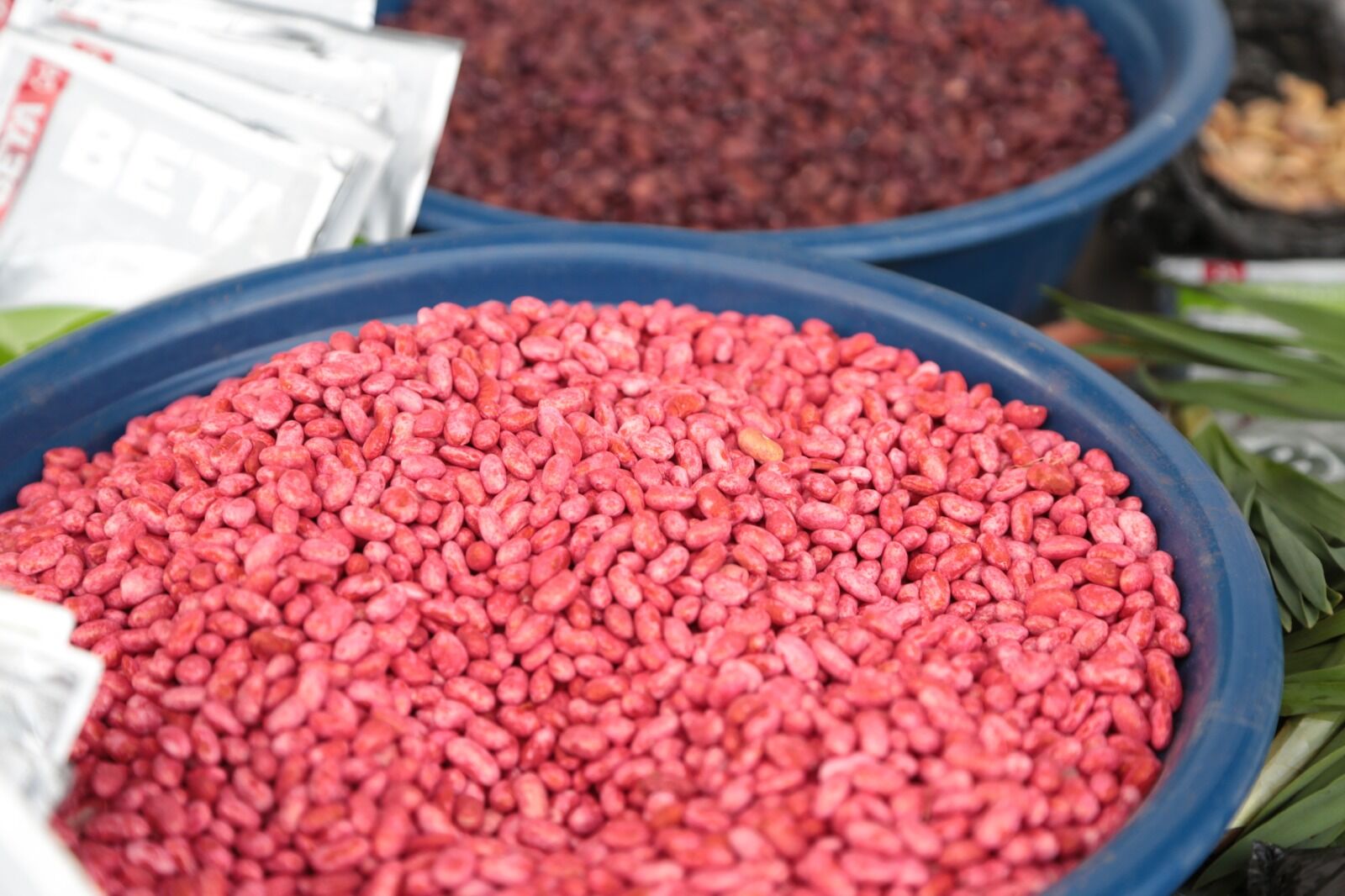 Whatsapp Image 2026 04 09 At 14.33.33 (5)