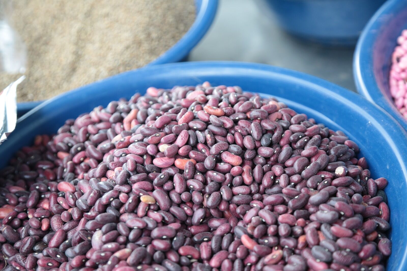 Whatsapp Image 2026 04 09 At 14.33.33 (6)