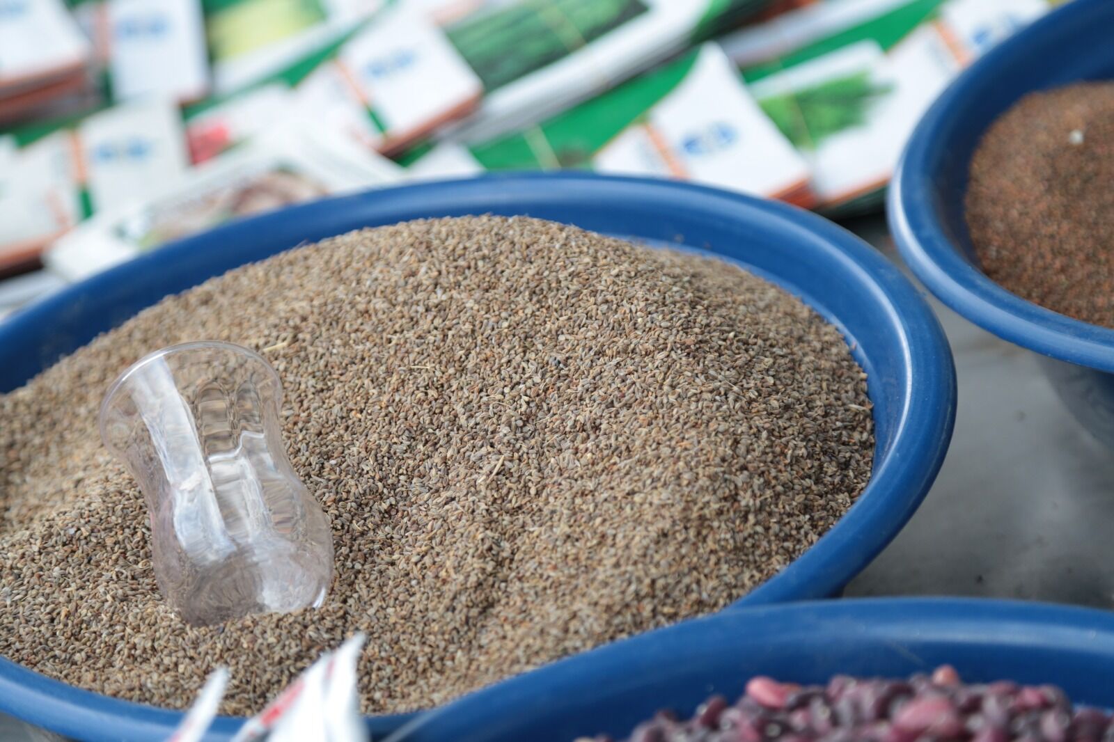 Whatsapp Image 2026 04 09 At 14.33.33 (8)