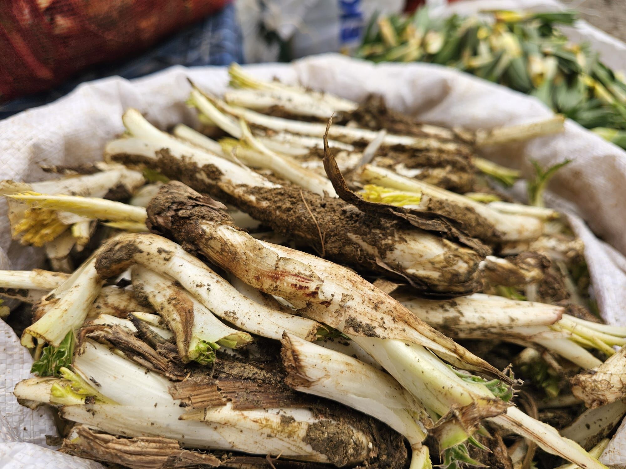 Whatsapp Image 2026 04 09 At 19.07.38 (1)