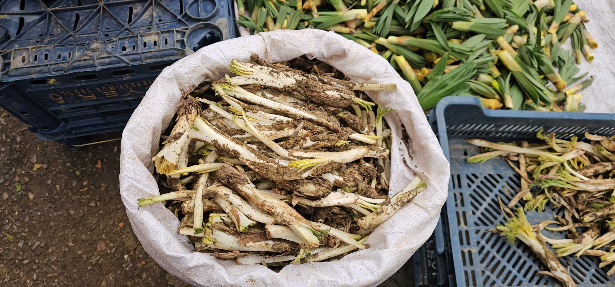 Whatsapp Image 2026 04 09 At 19.07.38 (2)