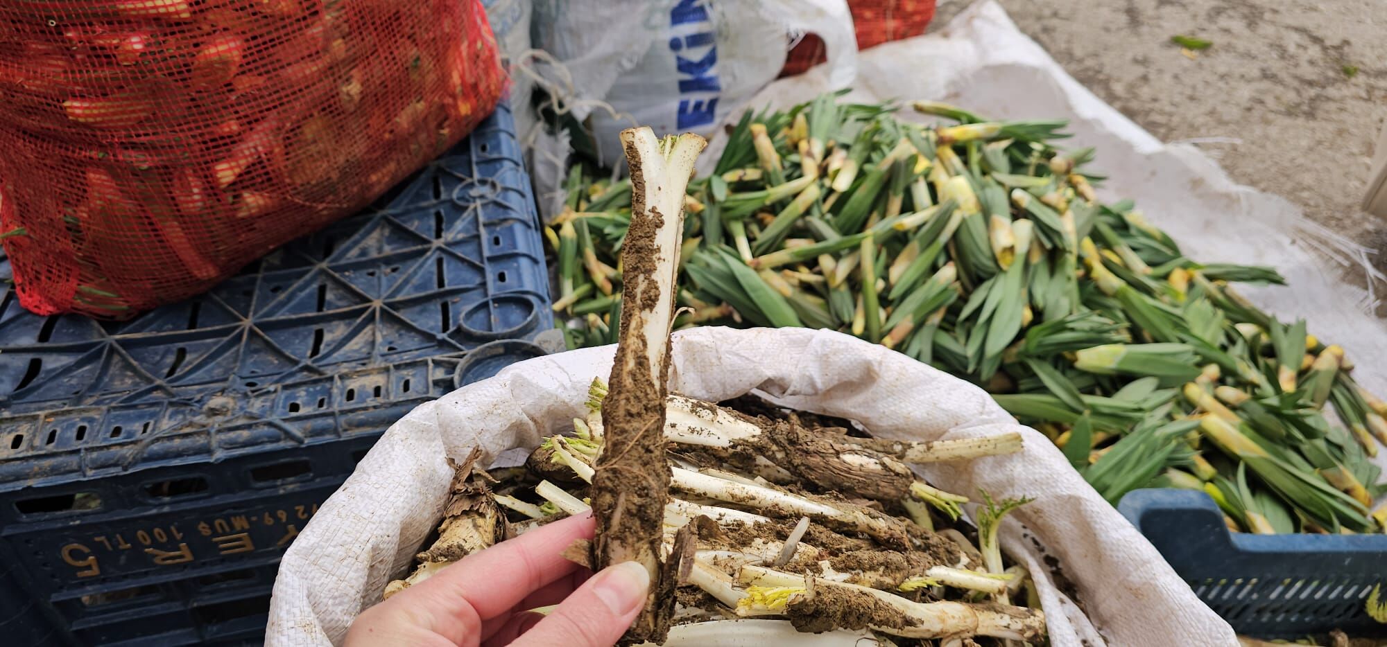 Whatsapp Image 2026 04 09 At 19.07.38 (3)