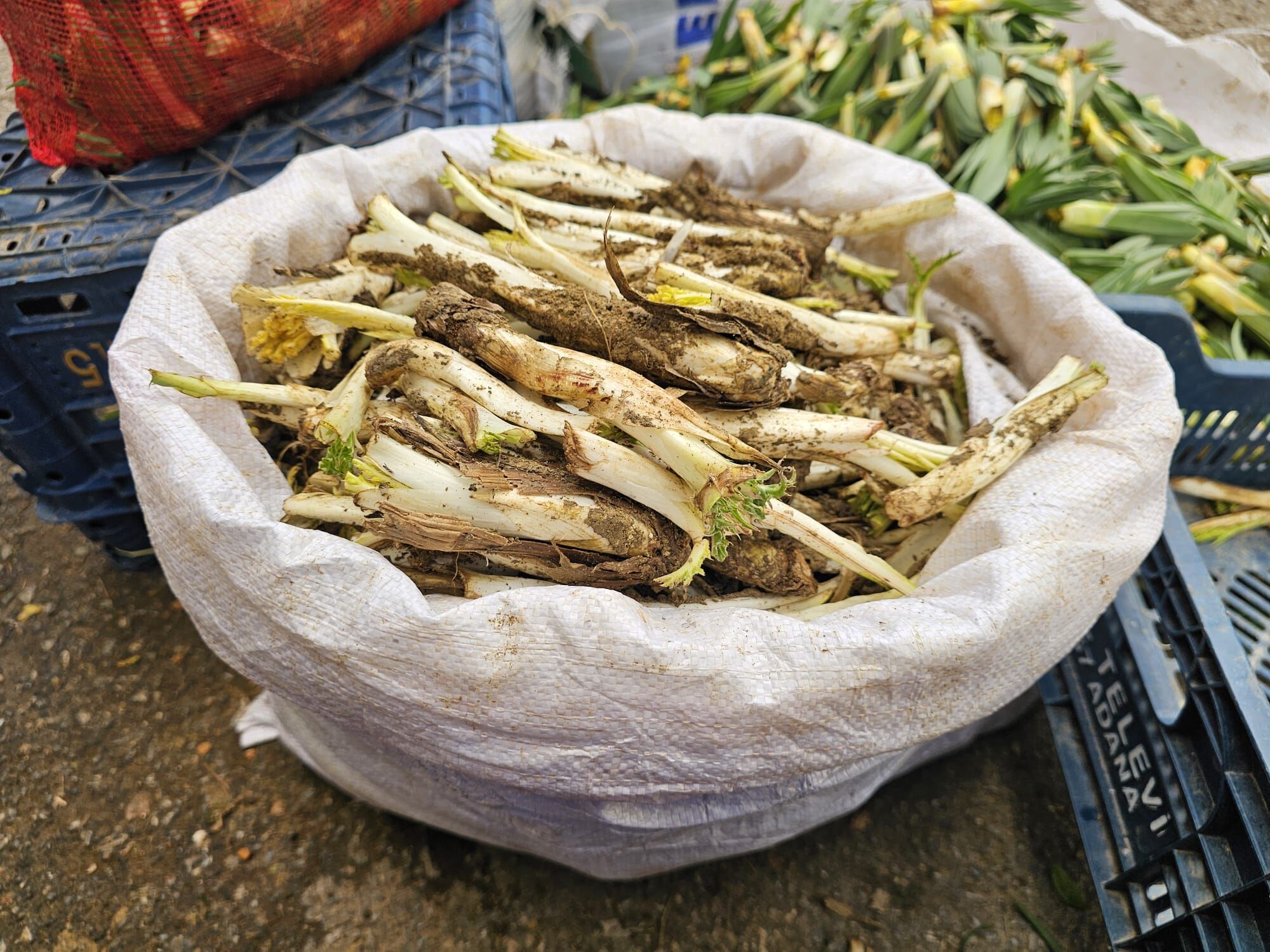 Whatsapp Image 2026 04 09 At 19.07.38