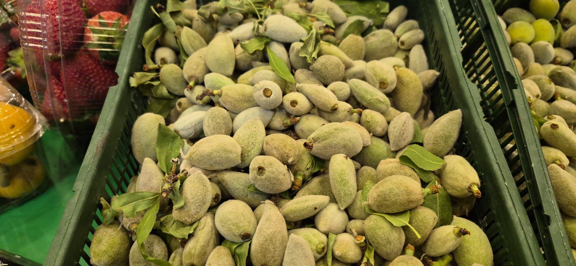 Whatsapp Image 2026 04 09 At 21.04.36 (6)