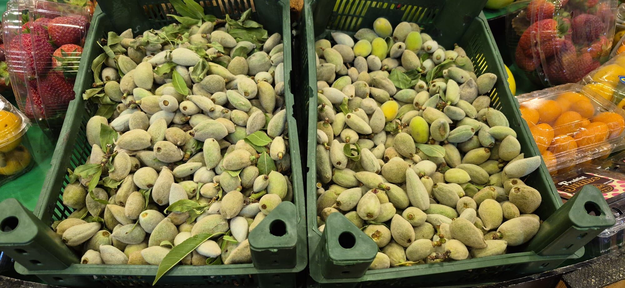 Whatsapp Image 2026 04 09 At 21.04.36 (7)