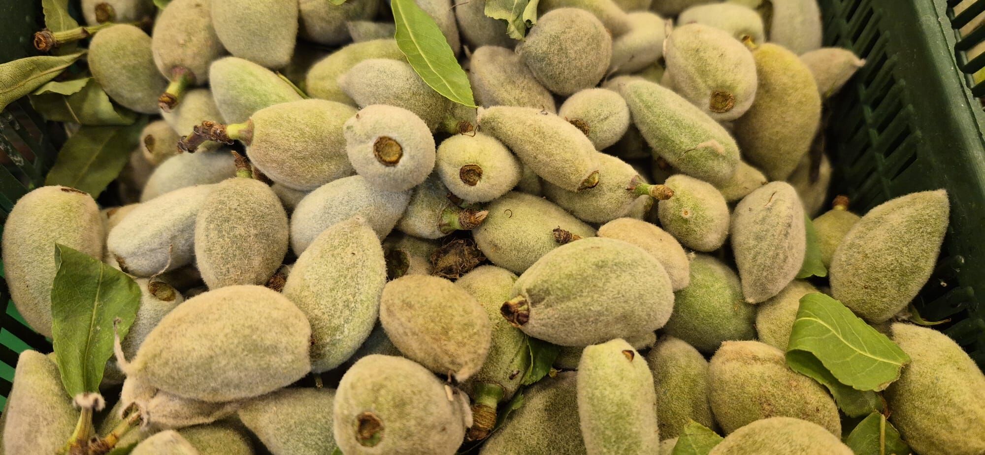 Whatsapp Image 2026 04 09 At 21.04.36 (8)