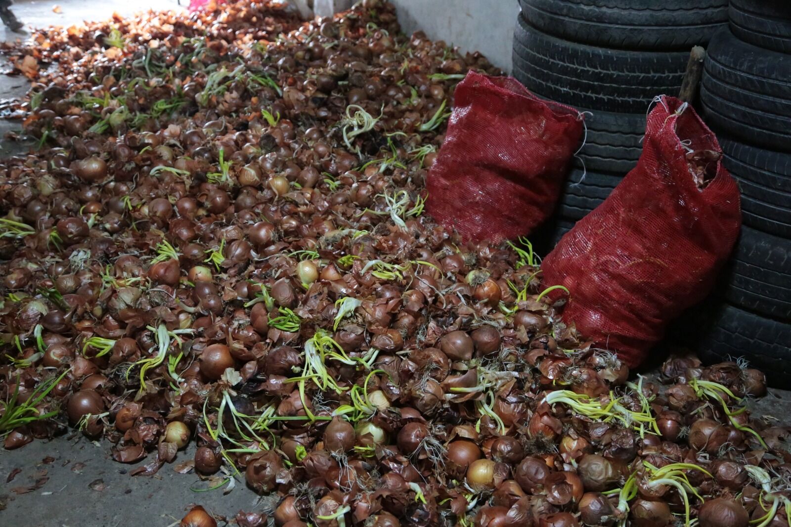 Whatsapp Image 2026 04 10 At 10.00.03 (2)