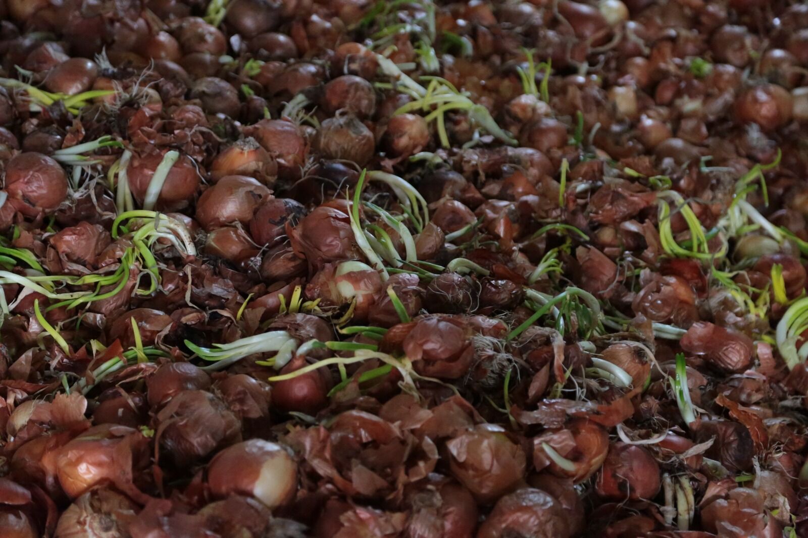 Whatsapp Image 2026 04 10 At 10.00.03 (4)