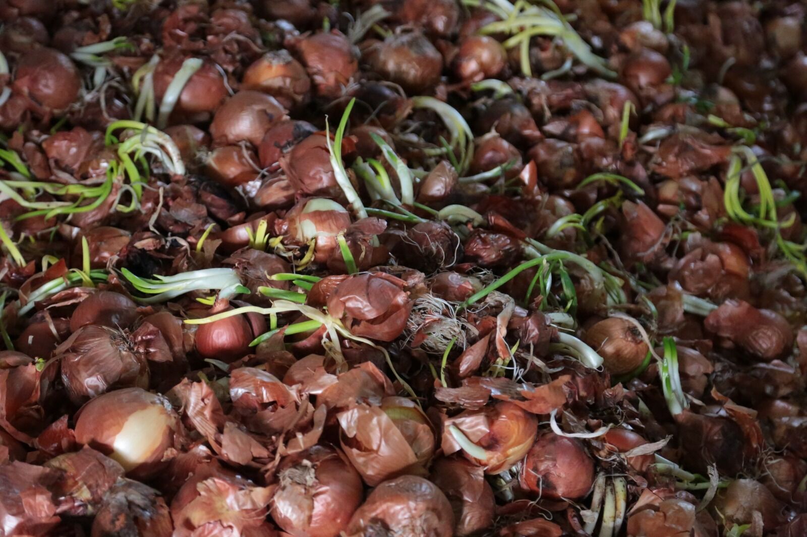 Whatsapp Image 2026 04 10 At 10.00.03 (6)