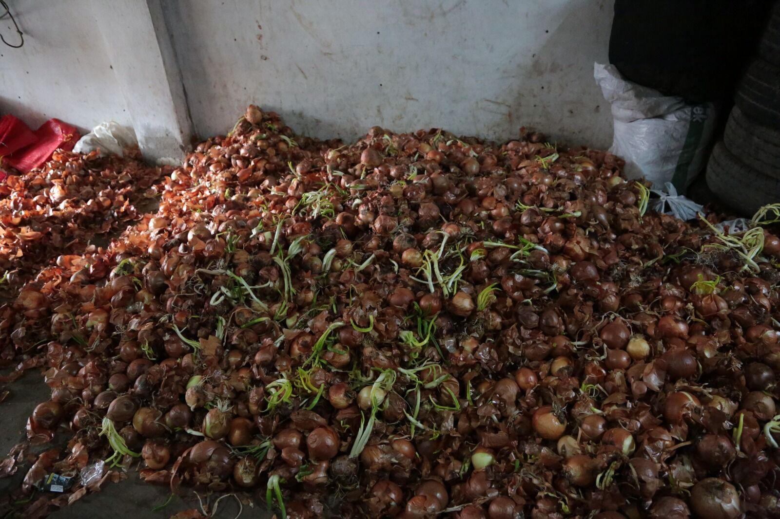 Whatsapp Image 2026 04 10 At 10.00.03