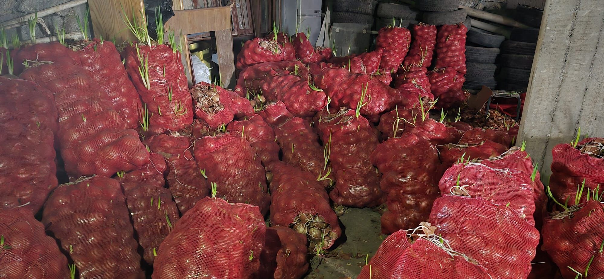 Whatsapp Image 2026 04 10 At 10.02.10 (1)