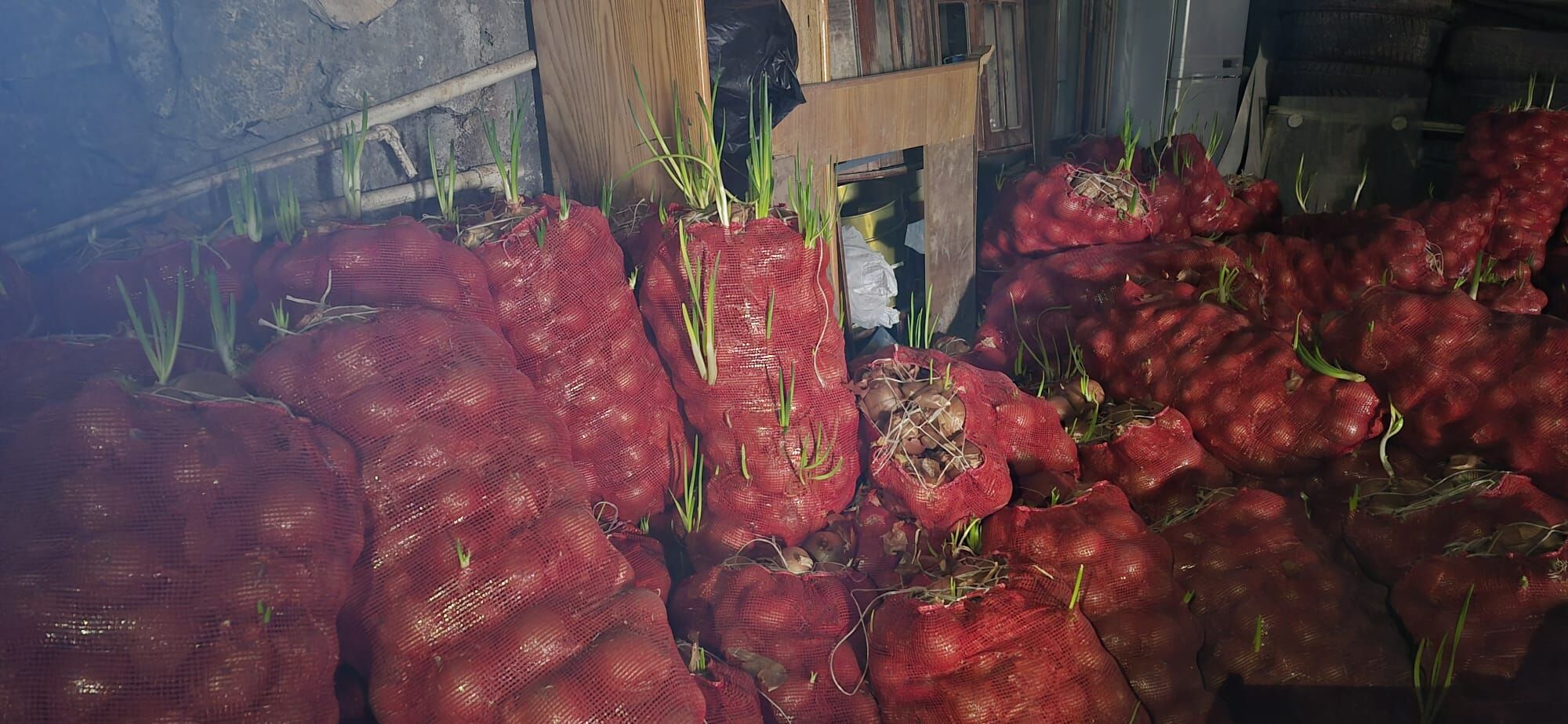 Whatsapp Image 2026 04 10 At 10.02.10