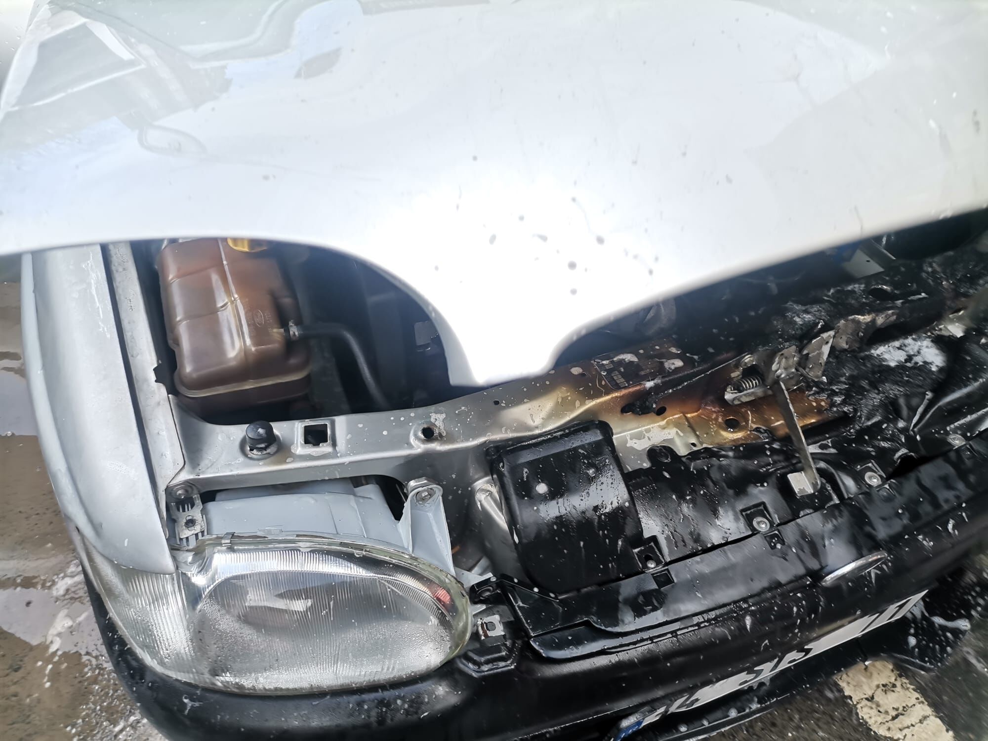 Whatsapp Image 2026 04 11 At 16.39.20 (1)