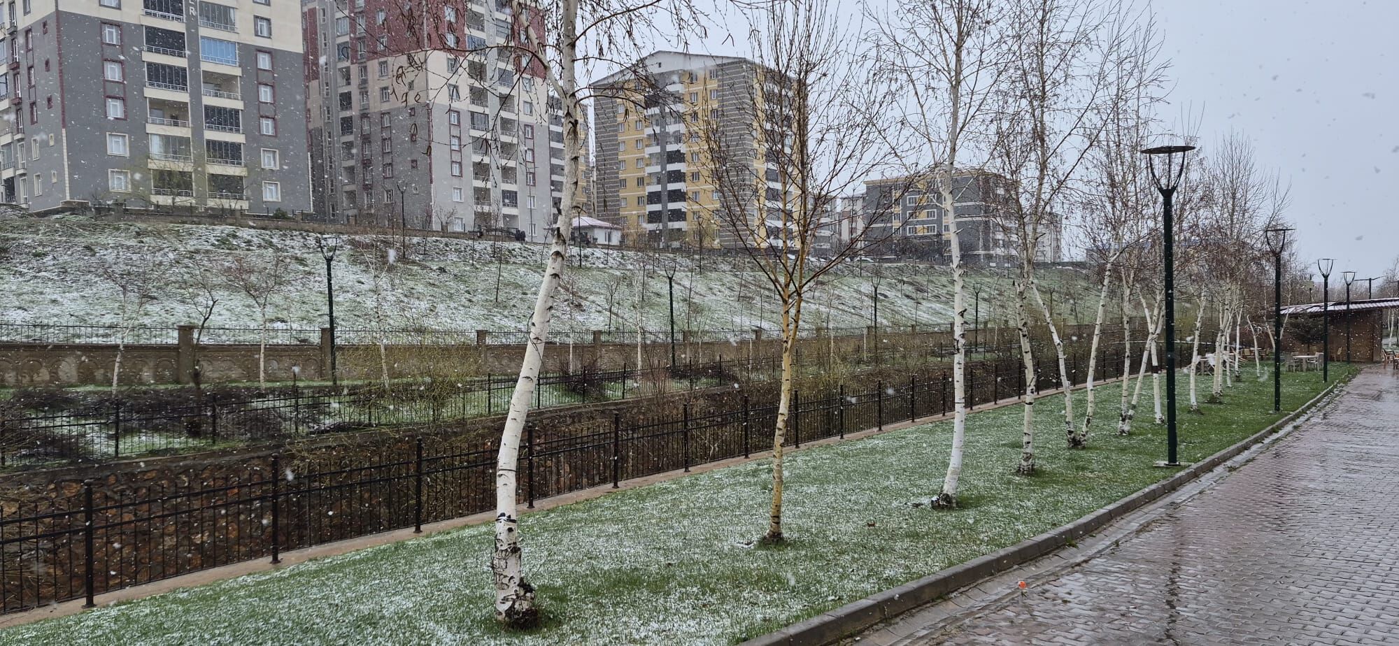 Whatsapp Image 2026 04 13 At 08.35.19 (1)