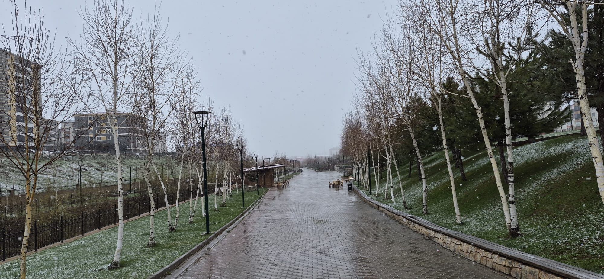 Whatsapp Image 2026 04 13 At 08.35.19