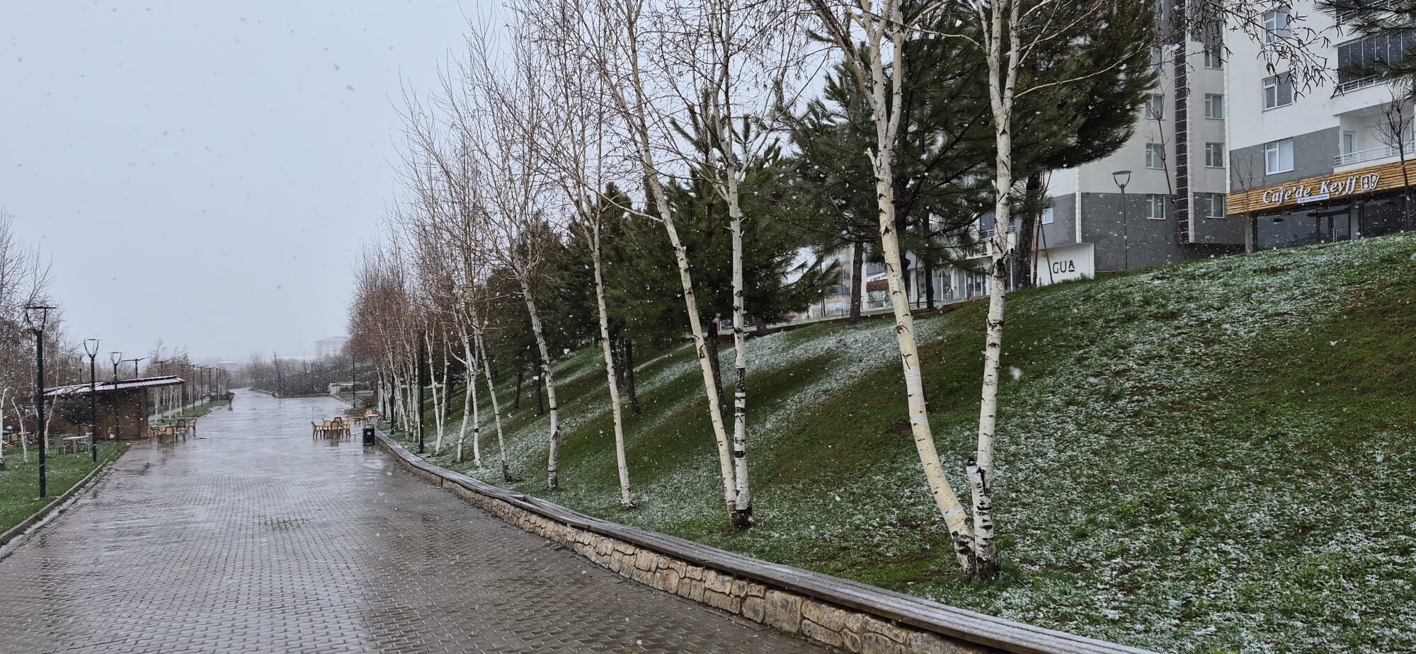 Whatsapp Image 2026 04 13 At 08.35.20