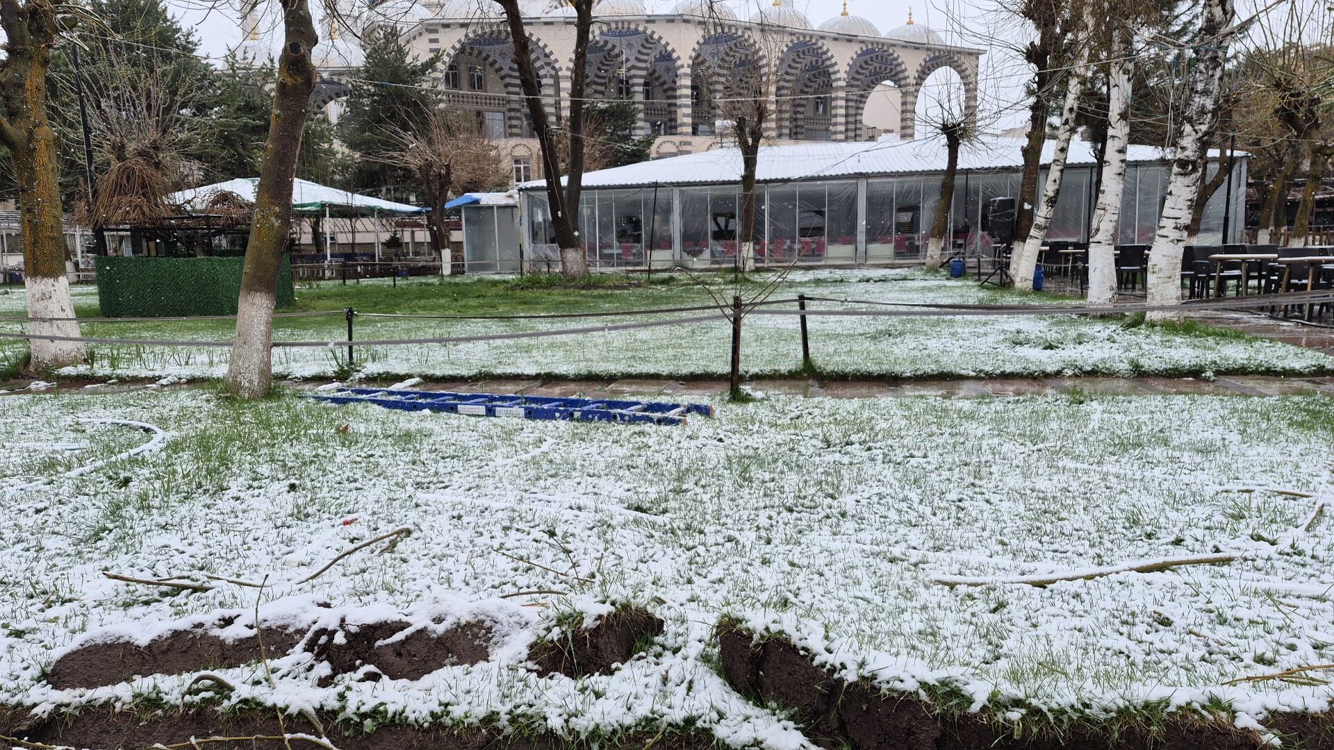 Whatsapp Image 2026 04 13 At 08.36.18