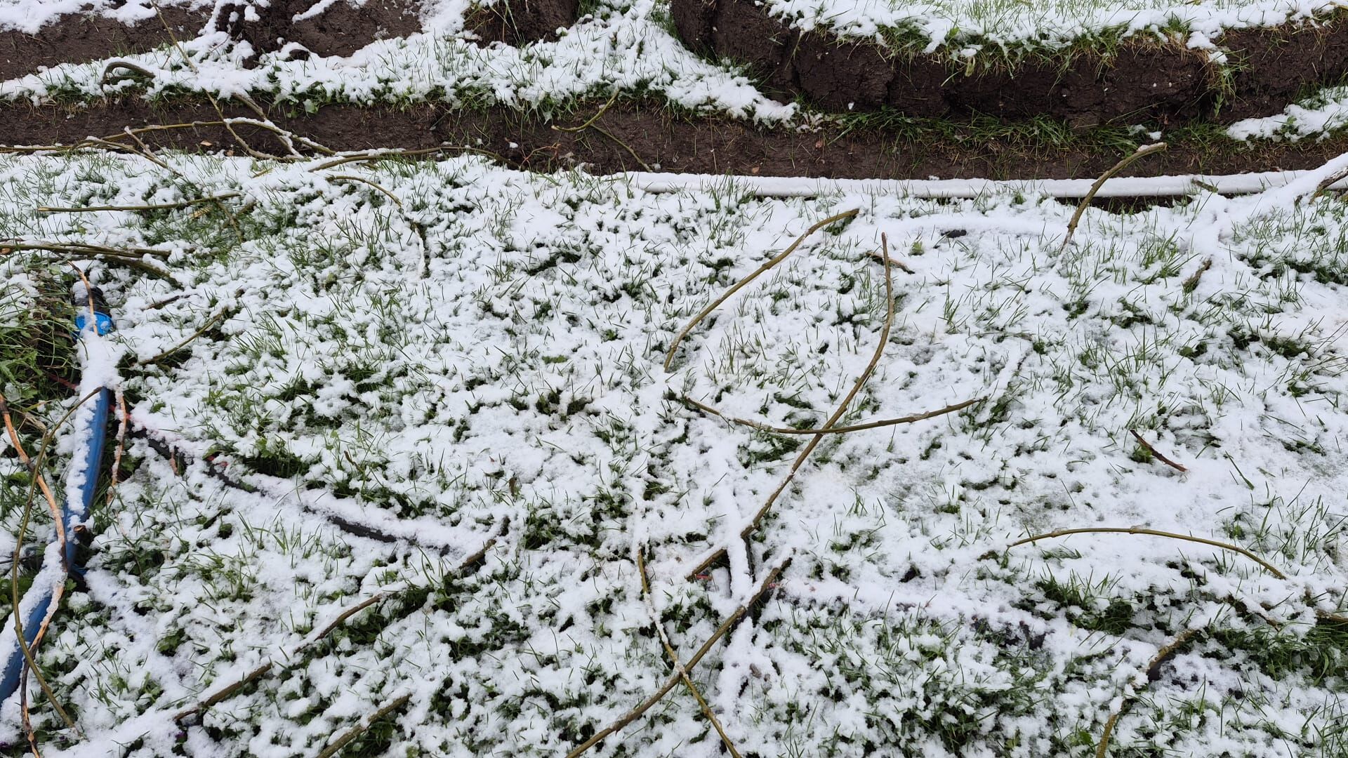 Whatsapp Image 2026 04 13 At 08.36.31