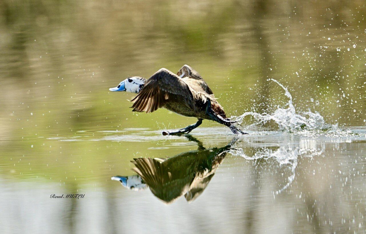 Whatsapp Image 2026 04 22 At 12.33.12 (1)