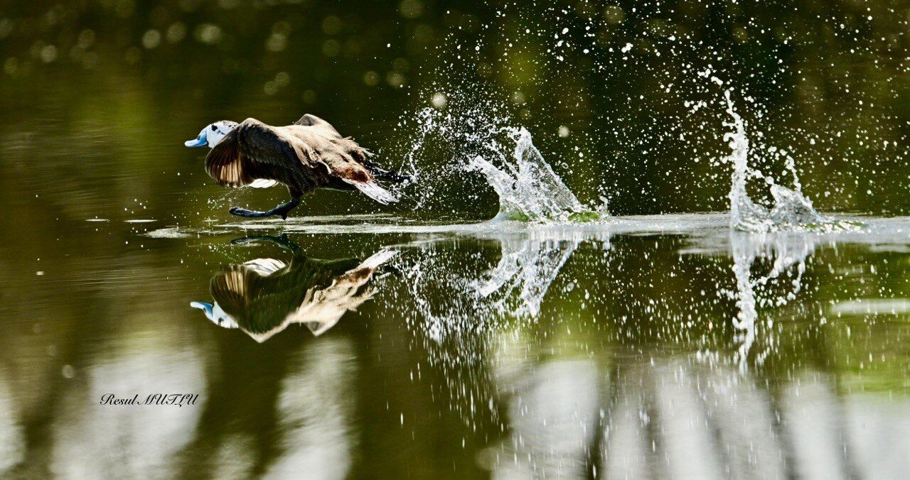 Whatsapp Image 2026 04 22 At 12.33.12 (3)