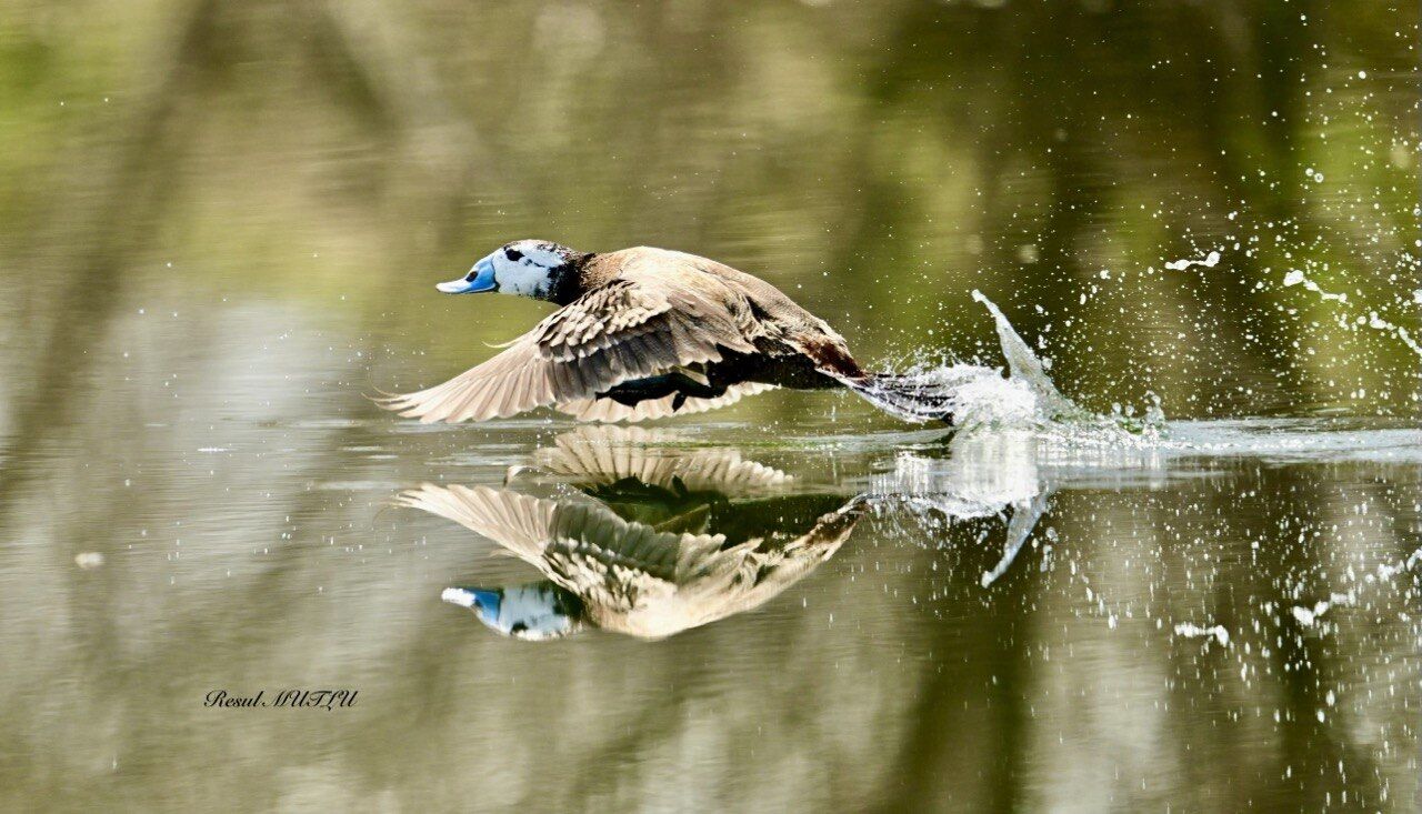 Whatsapp Image 2026 04 22 At 12.33.12 (6)