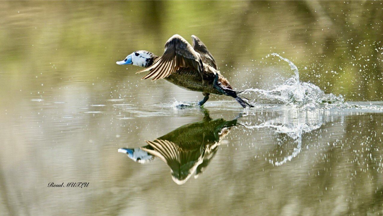 Whatsapp Image 2026 04 22 At 12.33.12 (7)