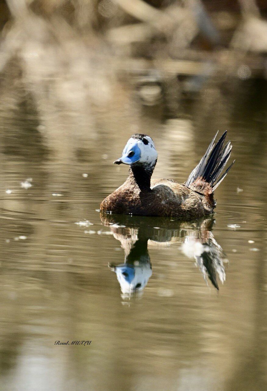 Whatsapp Image 2026 04 22 At 12.33.12 (8)