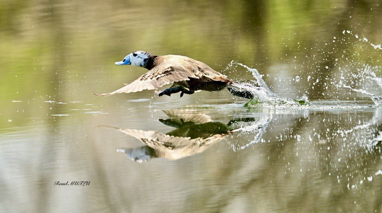 Whatsapp Image 2026 04 22 At 12.33.12