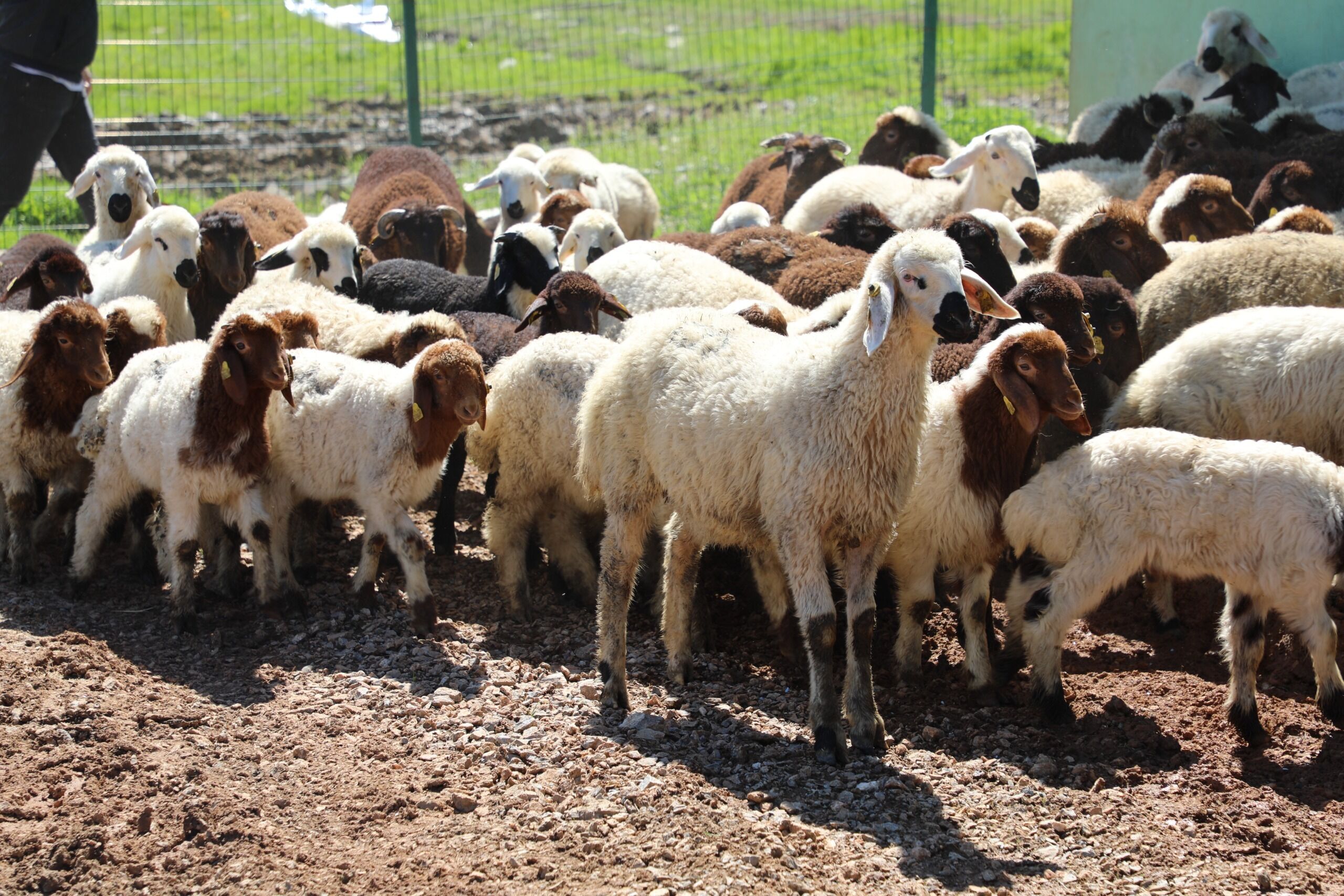 Whatsapp Image 2026 04 22 At 13.59.36 (1)