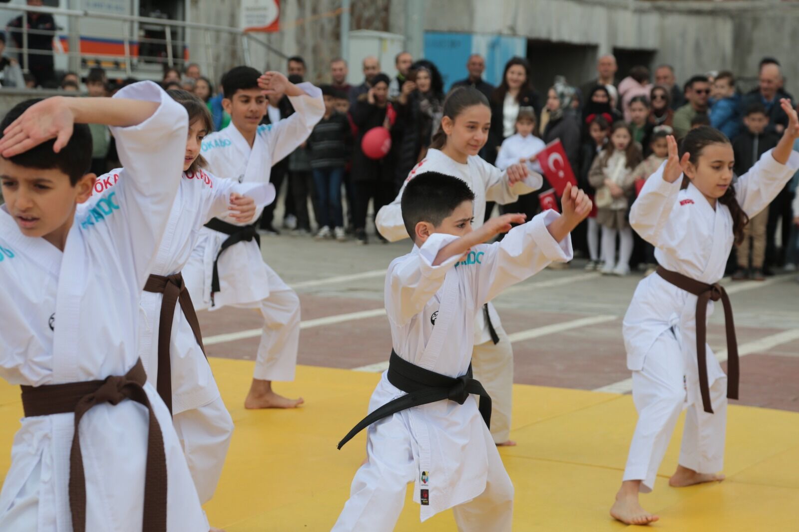 Whatsapp Image 2026 04 23 At 12.33.07 (17)