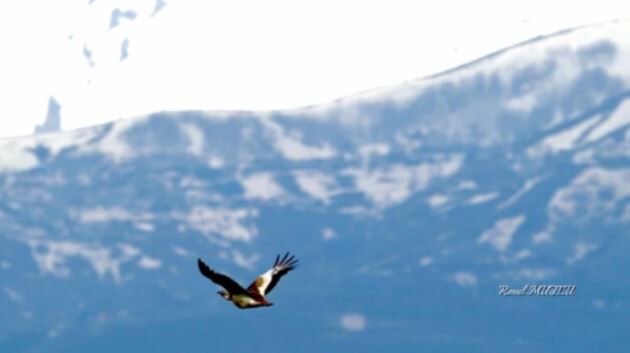 Whatsapp Image 2026 04 24 At 17.53.15