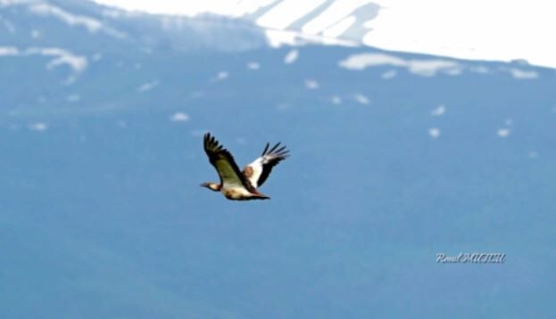 Whatsapp Image 2026 04 24 At 17.53.16 (2)